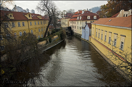  DSC7282
