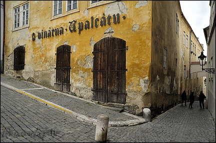  DSC7362