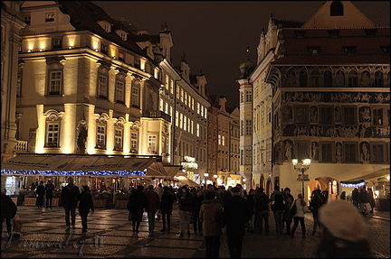  DSC7460