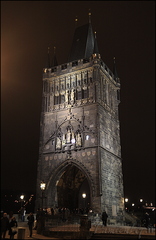  DSC7469