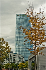  DSC6140